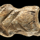 La talla de hueso de Neandertal.